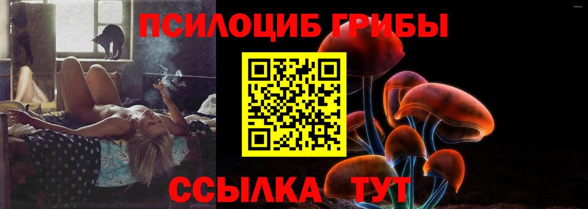 Шарыпово  Галлюциногенные грибы прущие грибы  Вход с VPN 